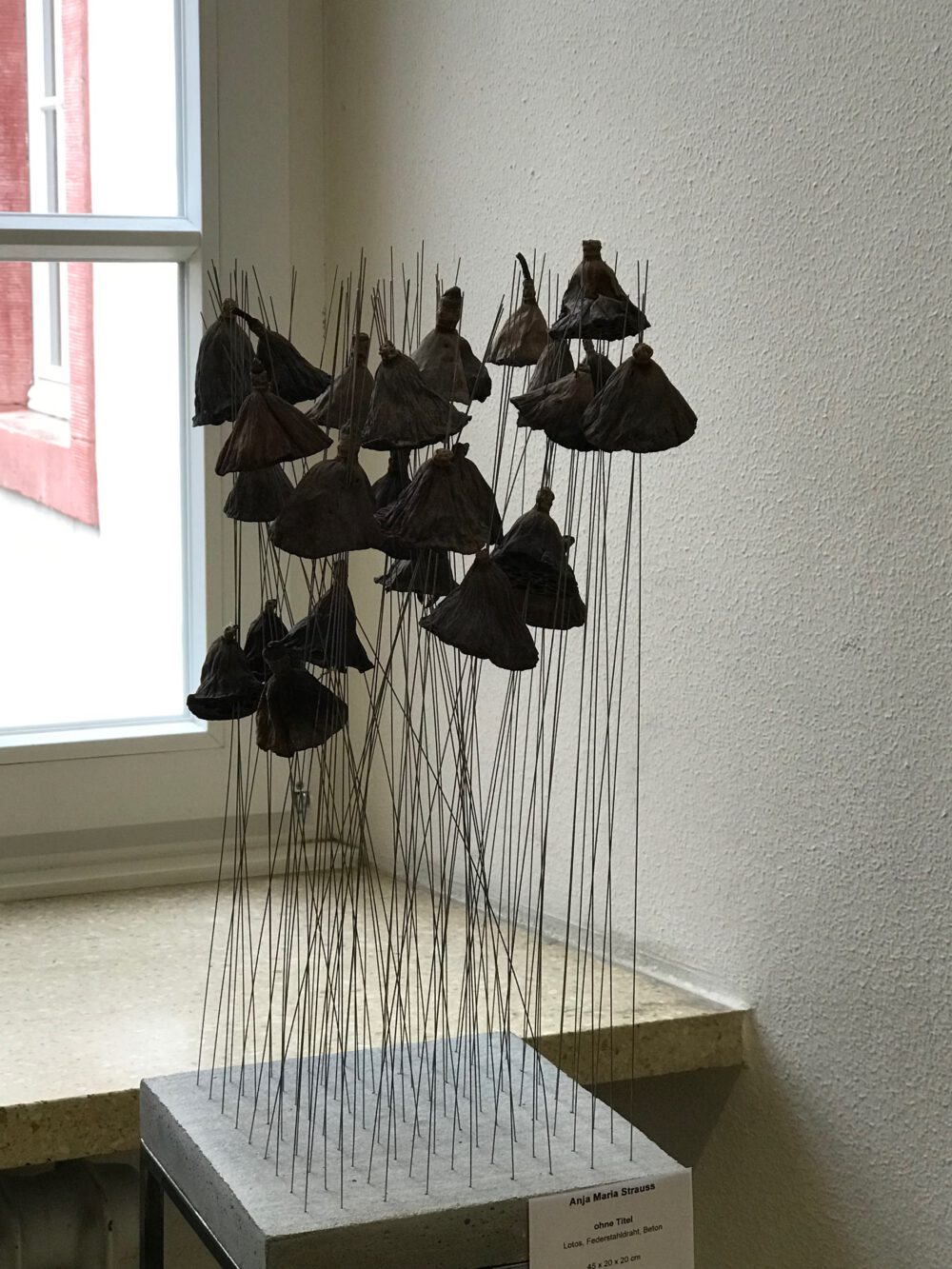 2019_jahressausstellung_i49