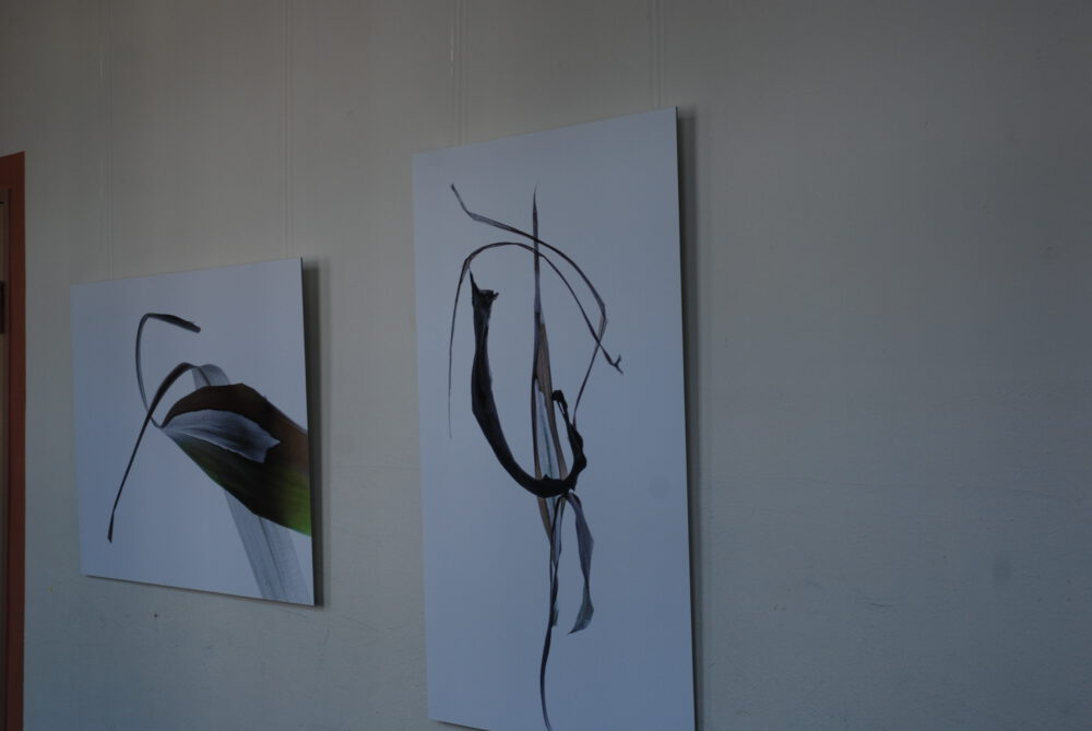 2017_jahressausstellung_i12