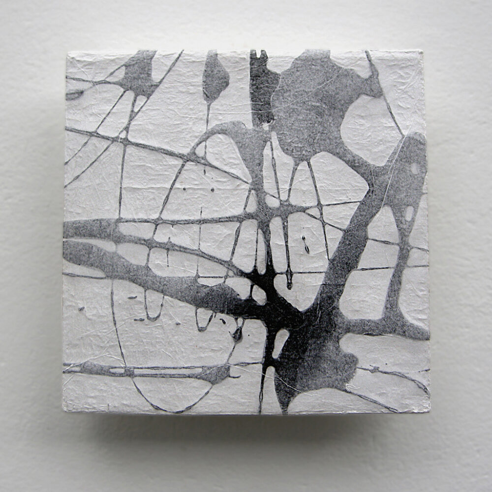 2019_paltzer_i09