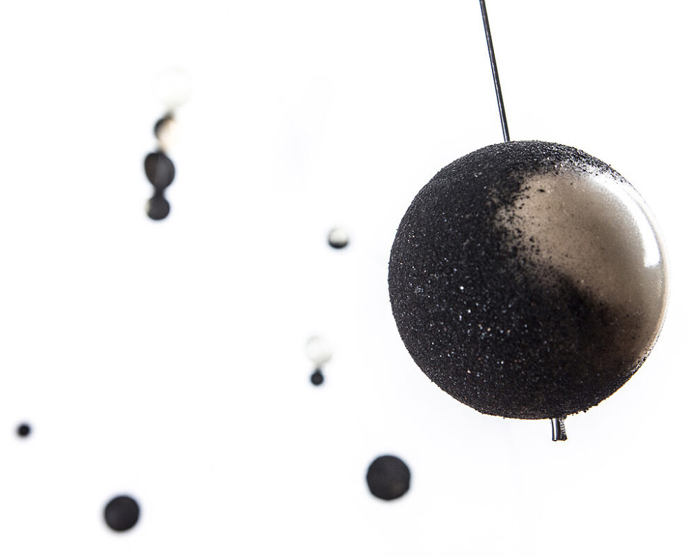 reeichert-b_2019-001b