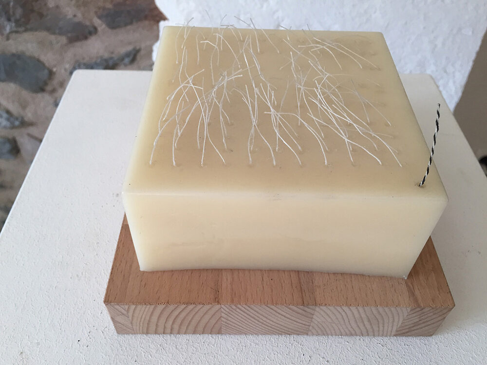 reeichert-b_2019-002a