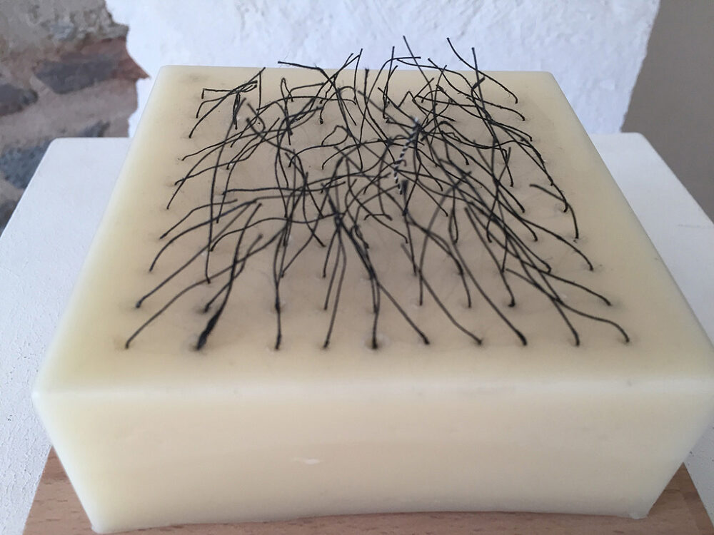 reeichert-b_2019-002b