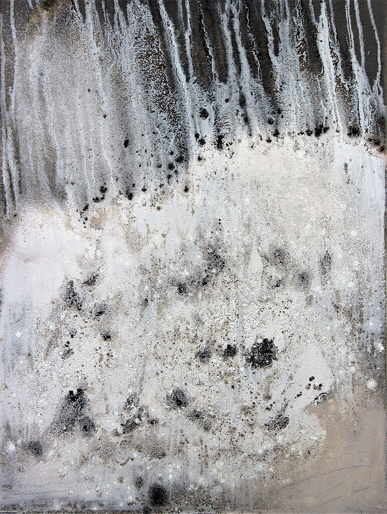 reeichert-d_2019-001