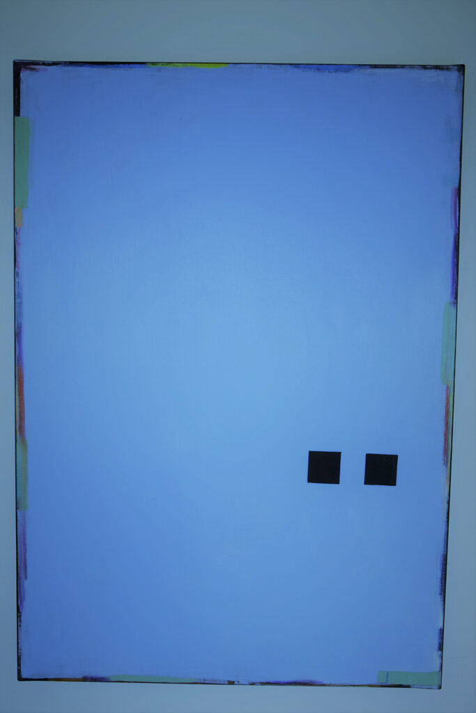 vaassen-schab_2018-001