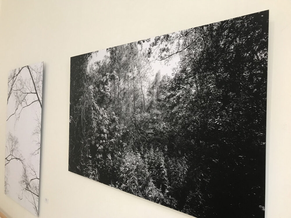 2021_ausstellung_i114