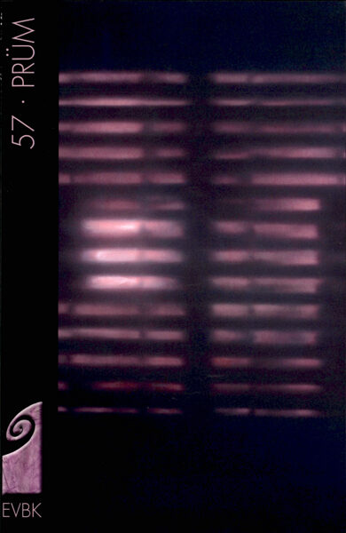 Geschützt: Katalog 2014