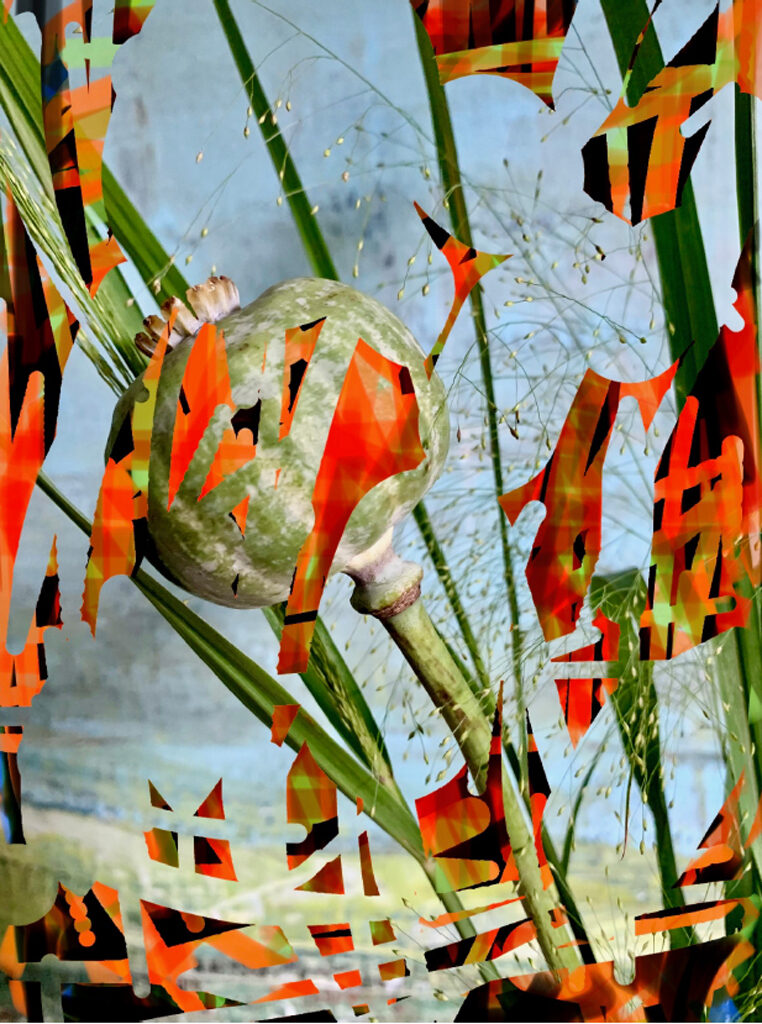 fischer-brieger_2023-001