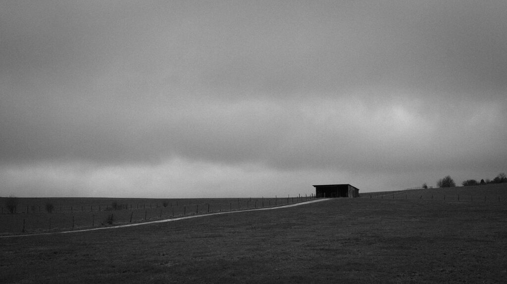 baumann-finn-hendrik_1