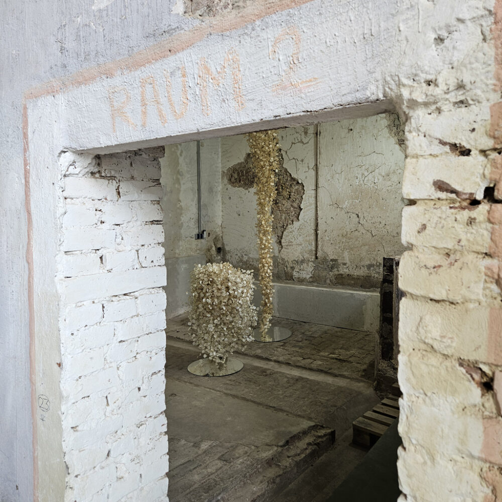 jahresausstellung-2024_eroeffnung_i004