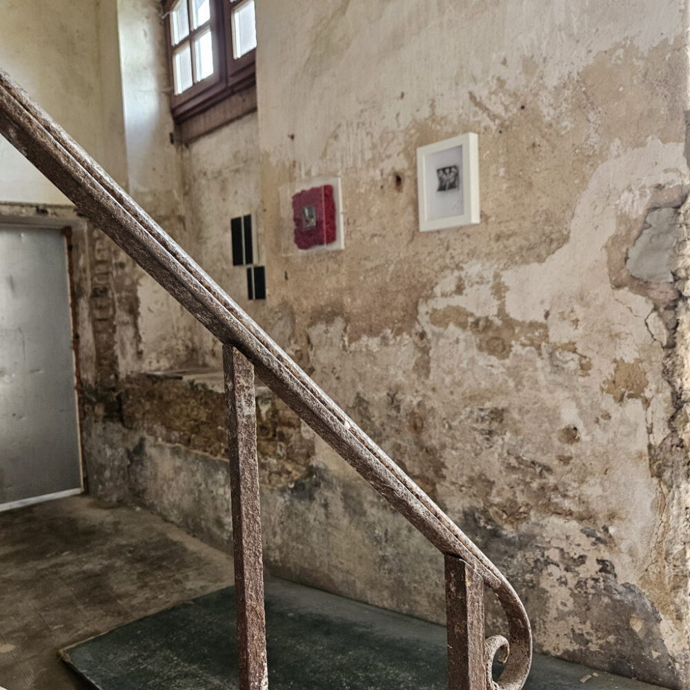 jahresausstellung-2024_eroeffnung_i008