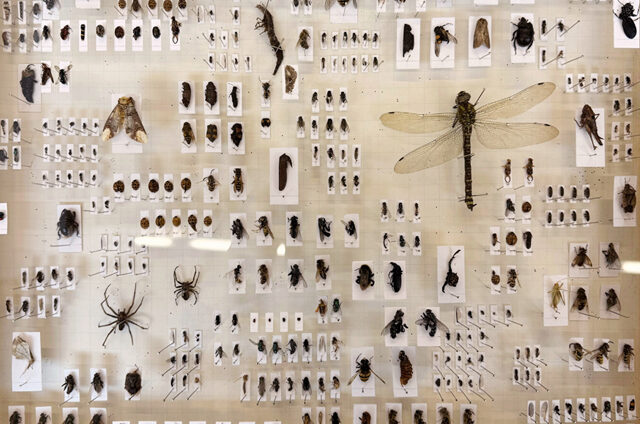 Jahresausstellung 2025