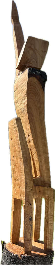 drautzburg-joachim_1a