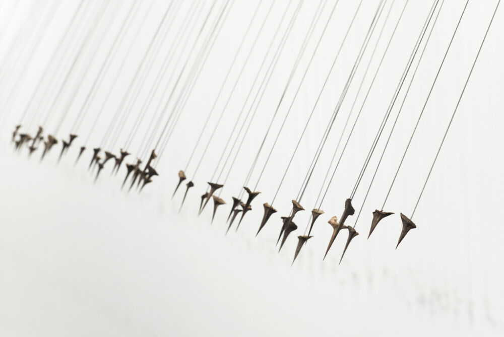 strauss-anja-maria_1c