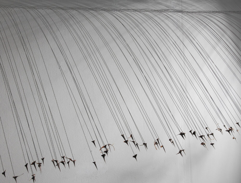 strauss-anja-maria_1d