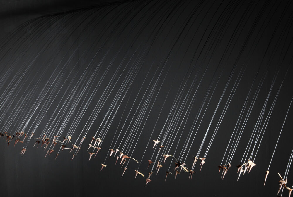 strauss-anja-maria_1e