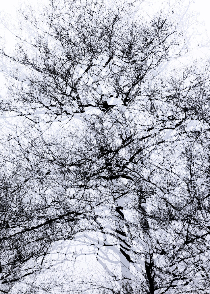 tossing-gerd_1