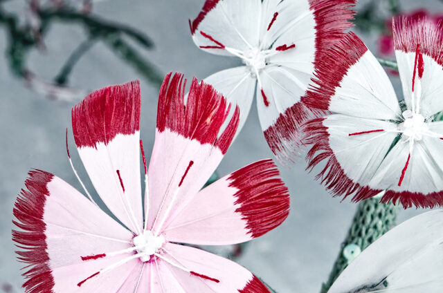 De Mains De Maîtres Luxembourg
