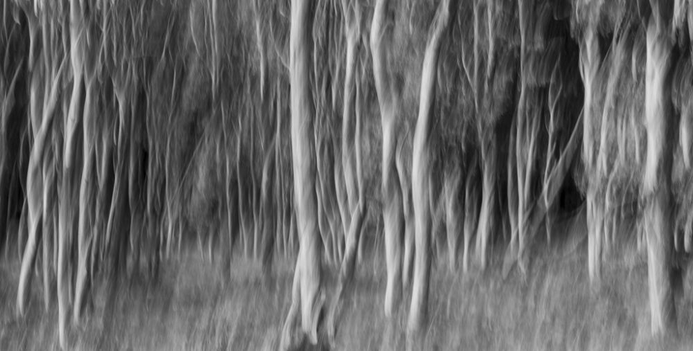 tossing-gerd_2